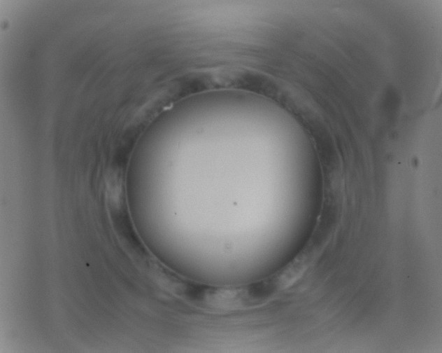 X0000074310129200609081952