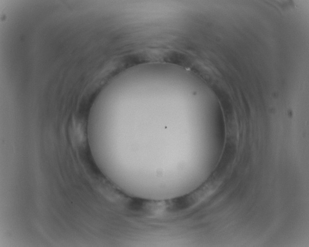 X0000074310131200609081951