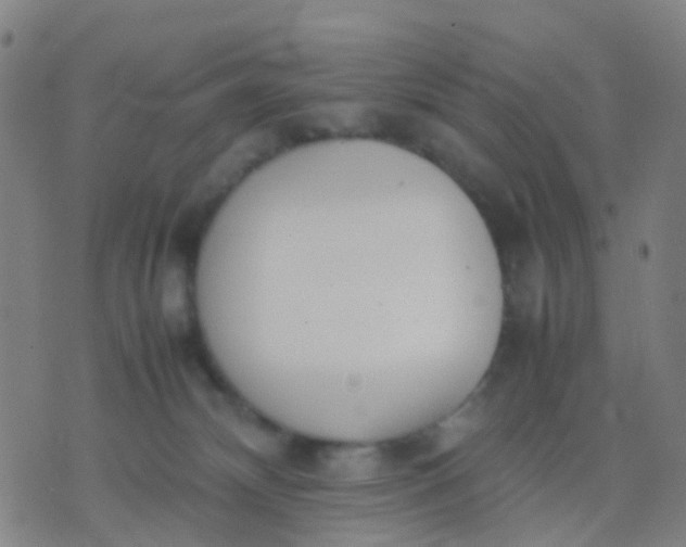 X0000074310132200609081951