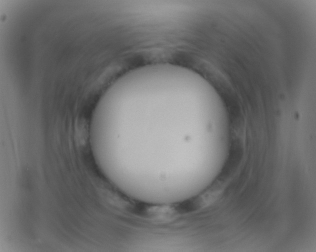 X0000074310133200609081951