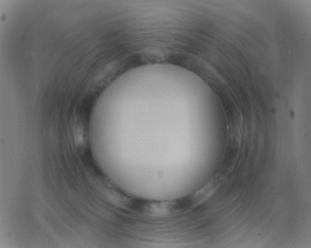 X0000074310134200609081951