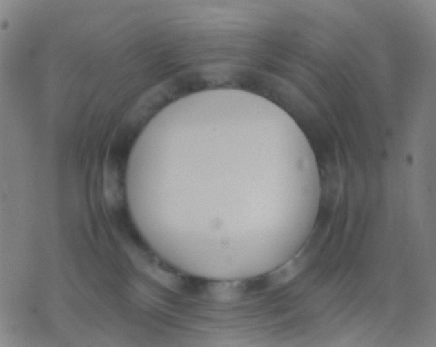 X0000074310136200609081951