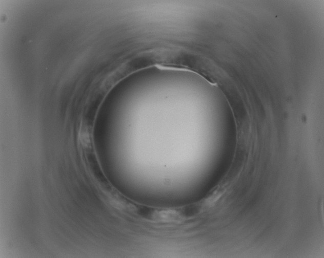 X0000074310137200609081951