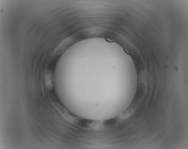 X0000074310138200609081951