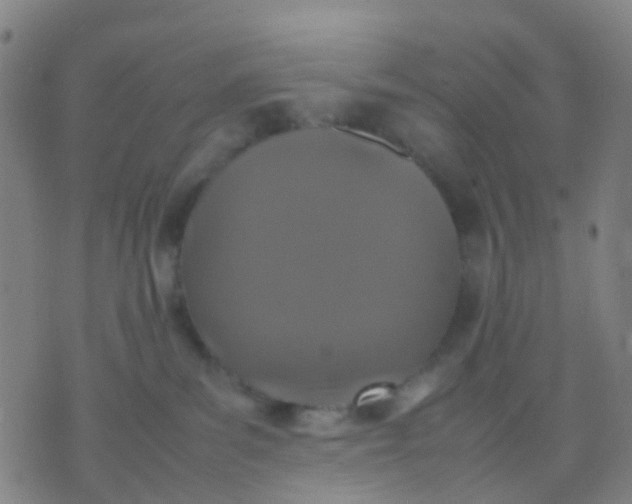 X0000074310139200609081951