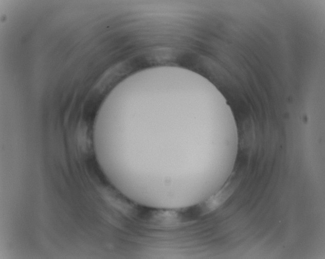 X0000074310140200609081951