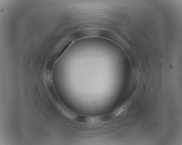 X0000074310141200609081951