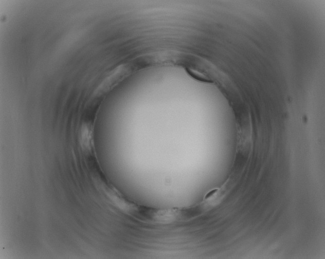 X0000074310142200609081951