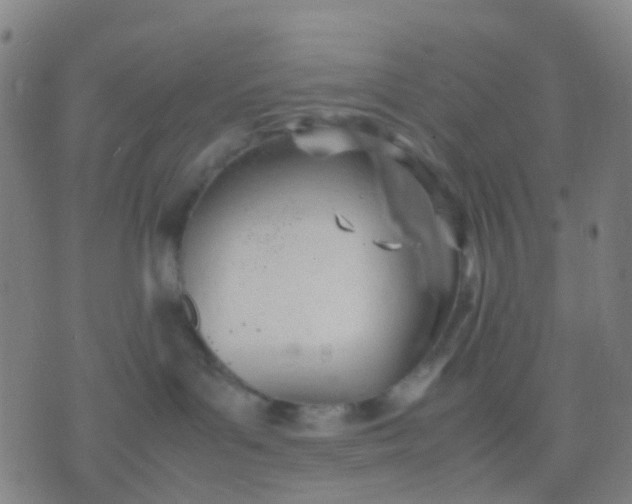 X0000074310143200609081951