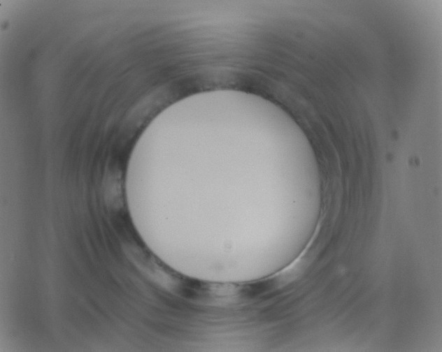 X0000074310144200609081951