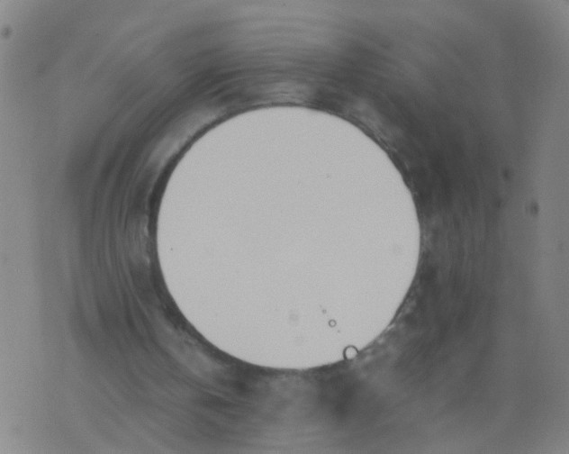 X0000074310146200609081951