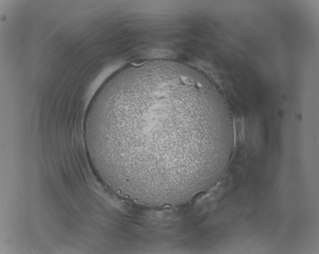 X0000074310147200609081951