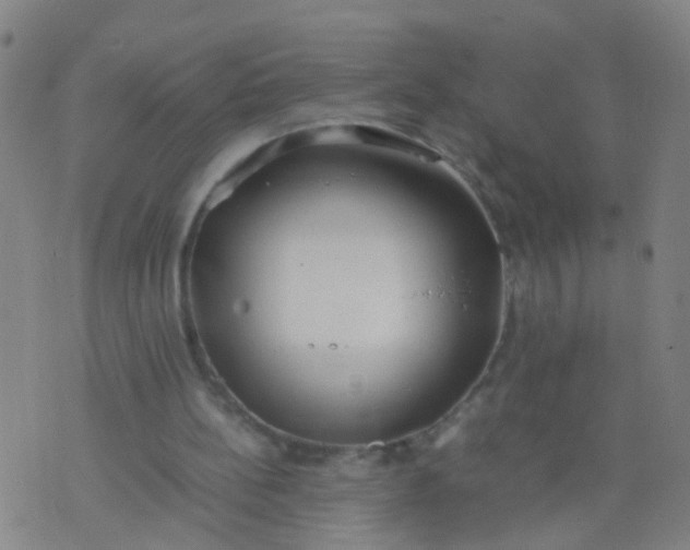 X0000074310148200609081951