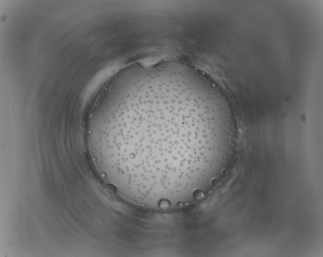 X0000074310149200609081951