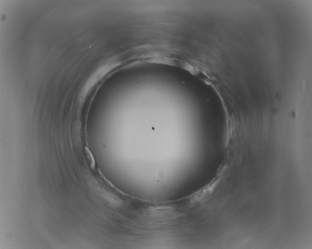 X0000074310150200609081951