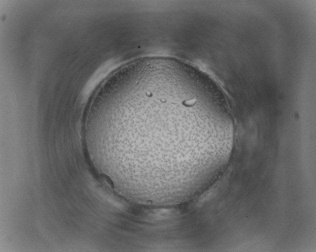 X0000074310151200609081951