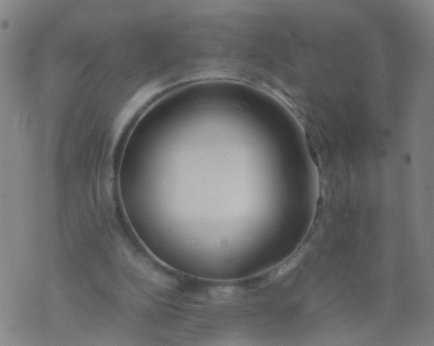 X0000074310152200609081951