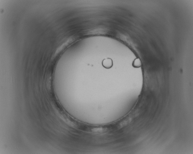 X0000074310153200609081951