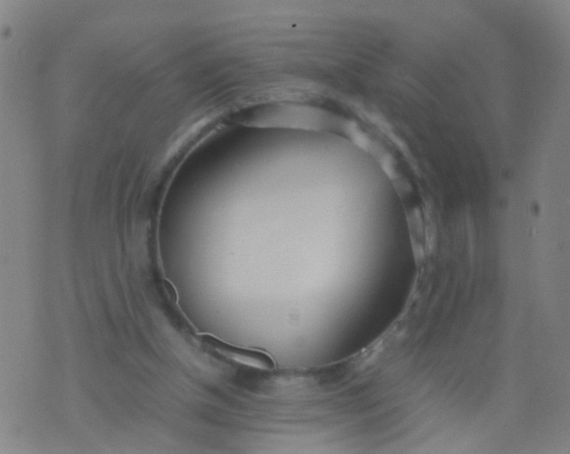 X0000074310154200609081951