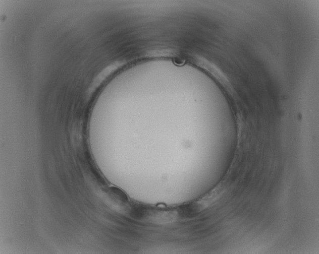 X0000074310155200609081951