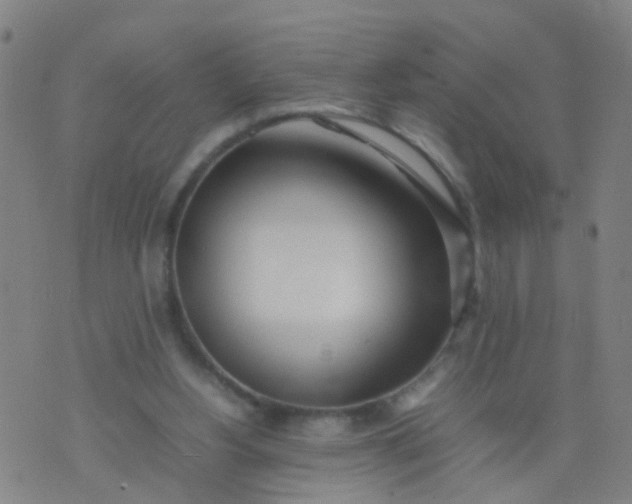 X0000074310156200609081951