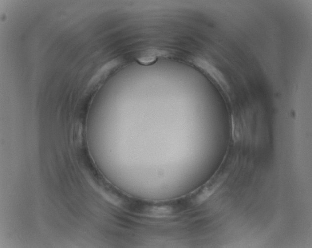 X0000074310157200609081951