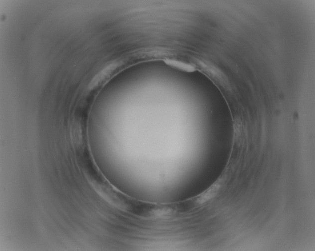 X0000074310158200609081951