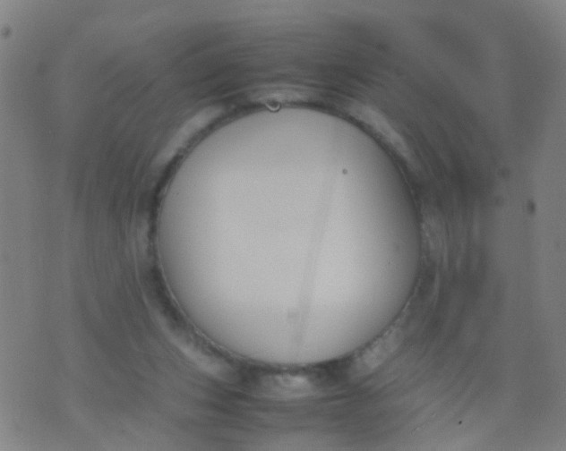 X0000074310159200609081951