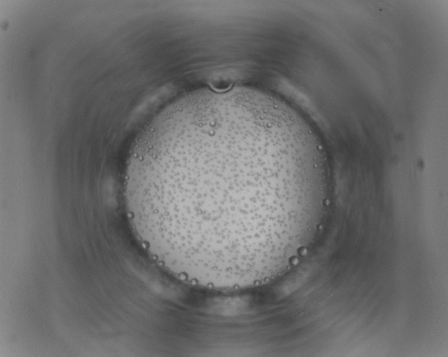 X0000074310161200609081951