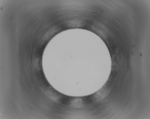 X0000074310162200609081951