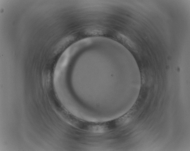 X0000074310163200609081951