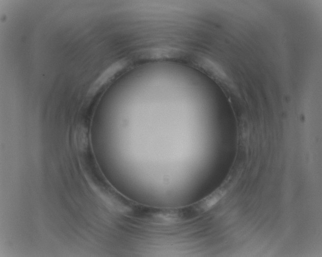 X0000074310164200609081951