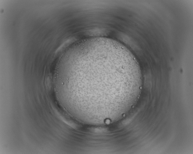 X0000074310165200609081951