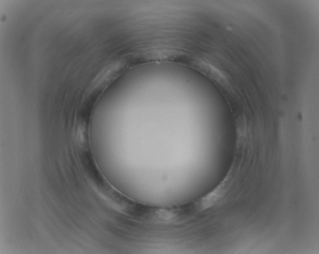 X0000074310166200609081951