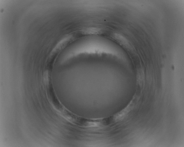 X0000074310167200609081951