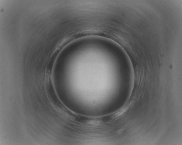 X0000074310168200609081951