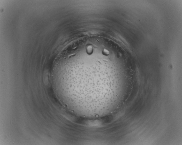 X0000074310169200609081951