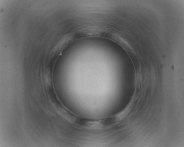 X0000074310170200609081951