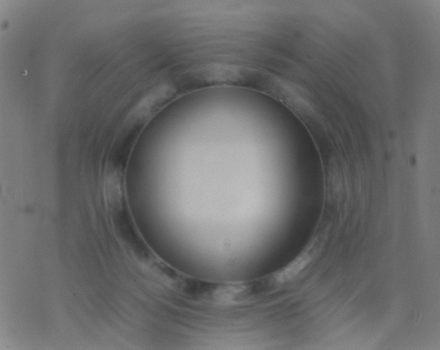 X0000074310172200609081951