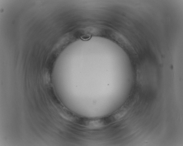 X0000074310173200609081951