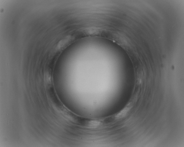 X0000074310176200609081951