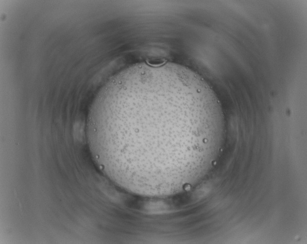 X0000074310177200609081951