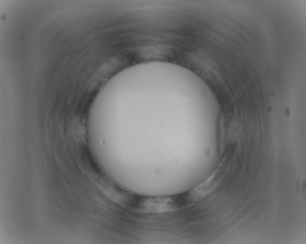 X0000074310179200609081951