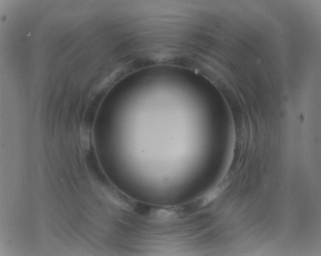 X0000074310180200609081951