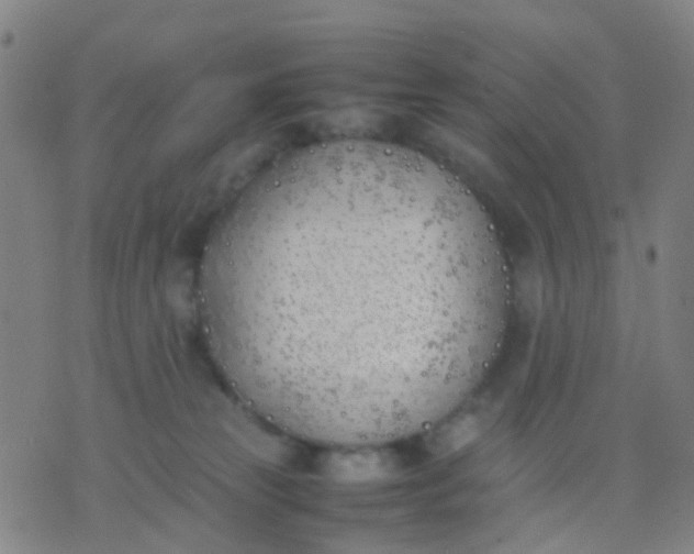 X0000074310181200609081951