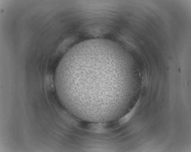 X0000074310182200609081951