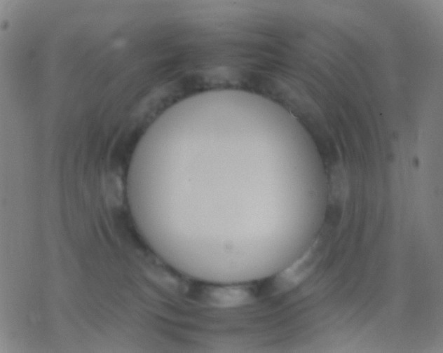 X0000074310183200609081951