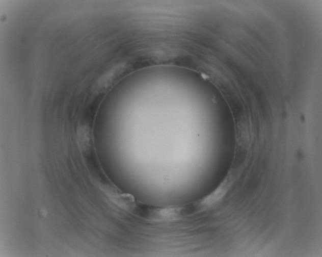 X0000074310184200609081951