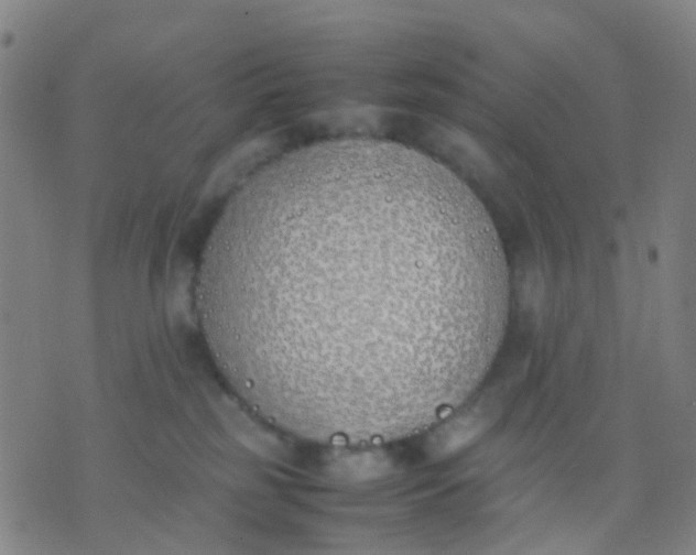 X0000074310185200609081951