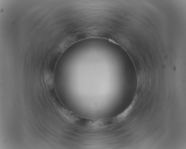 X0000074310186200609081951